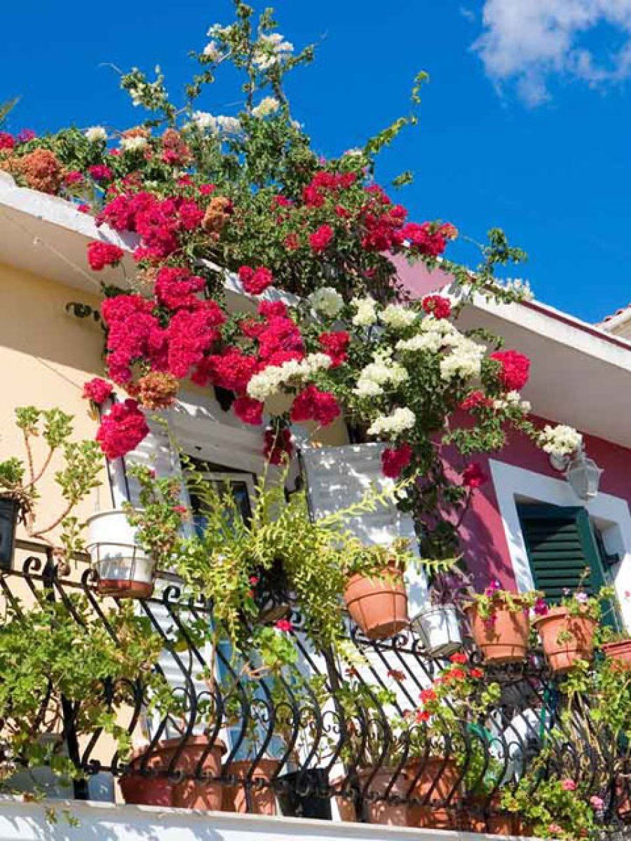 balcón con flores