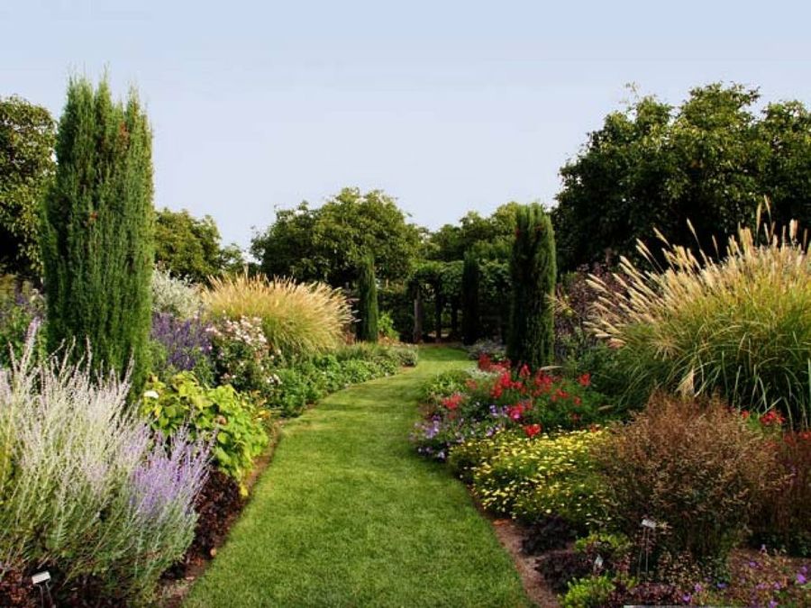 camino de césped en jardín