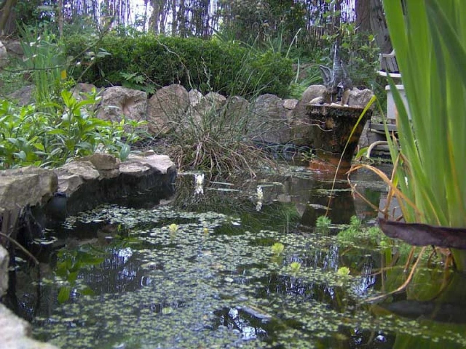 Jardín reciclado