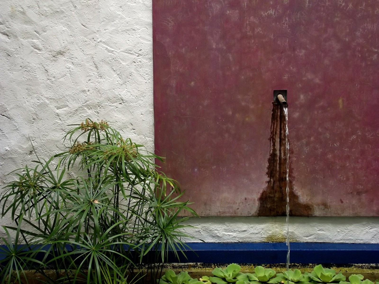 Jardín zen