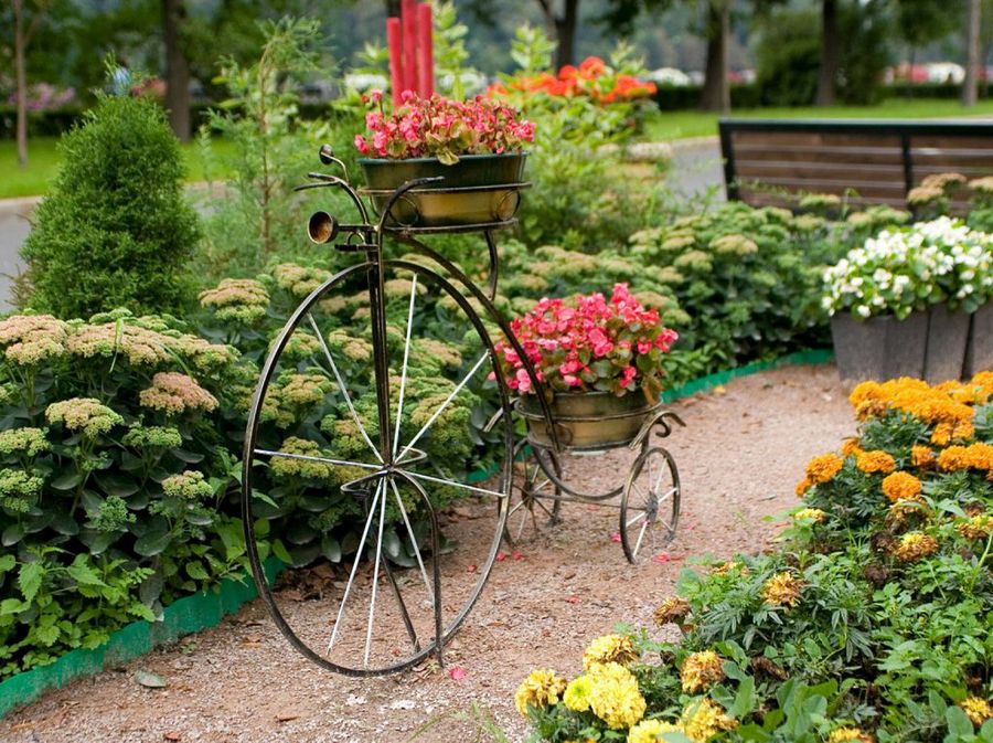 Aromáticas adorno bicicleta