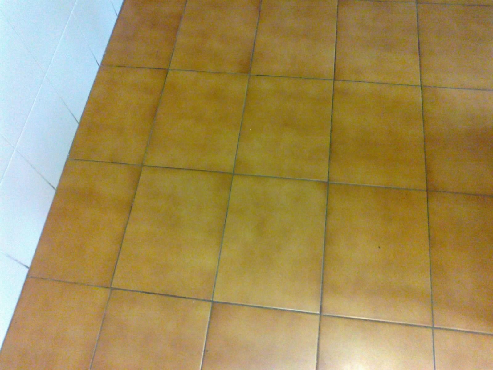 Imagen 8