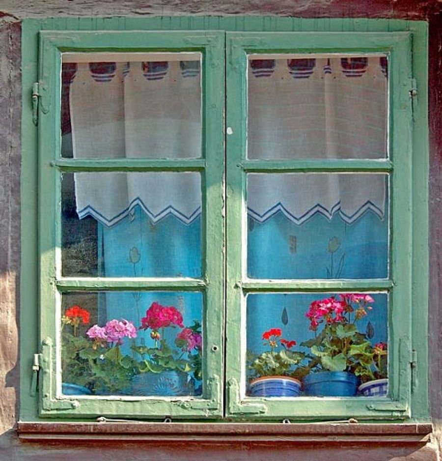 Cómo limpiar y conservar las ventanas de madera · Vivienda Saludable
