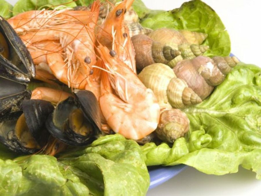 Marisco, gambas y mejillones