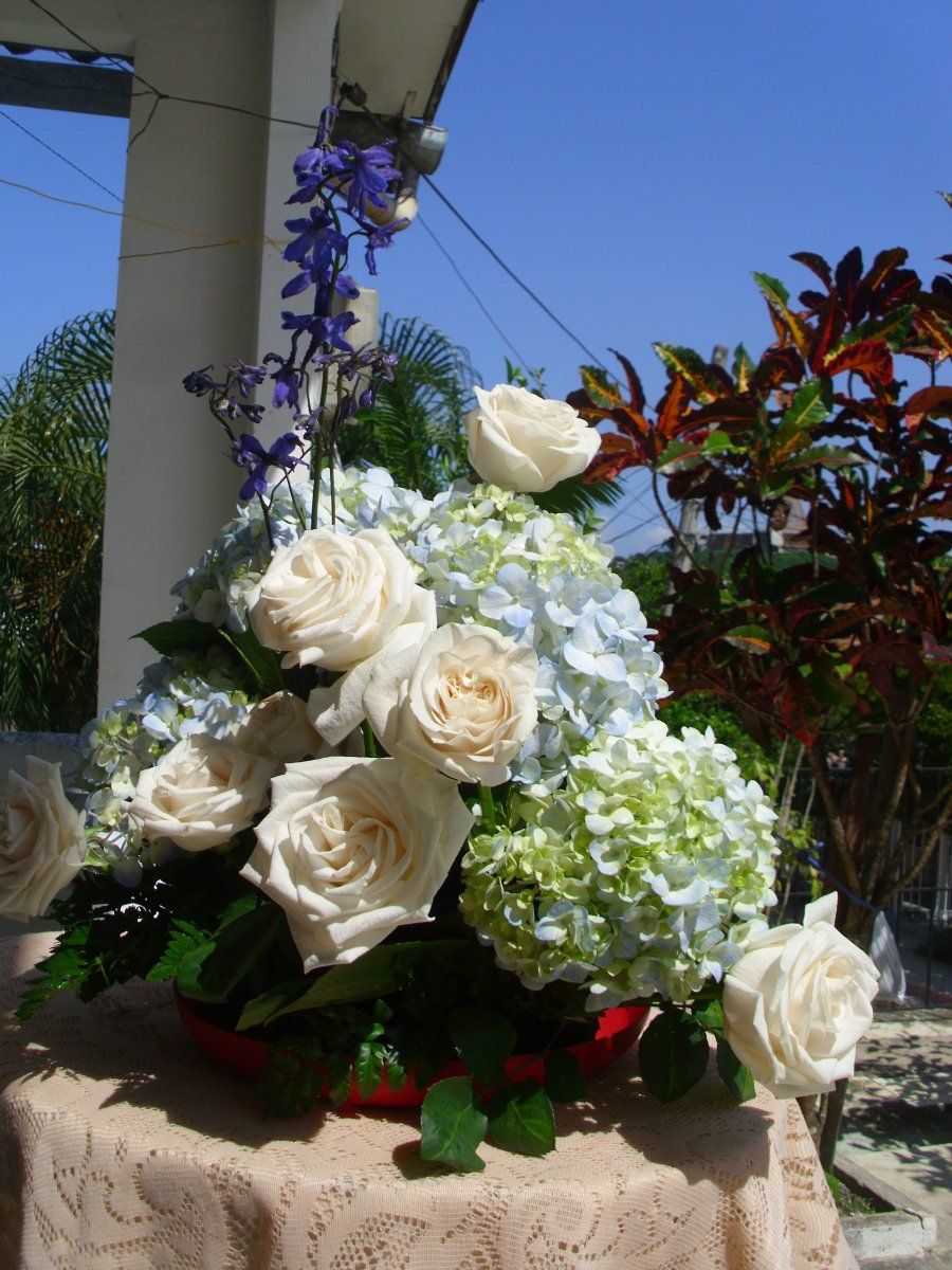 Imagen 4