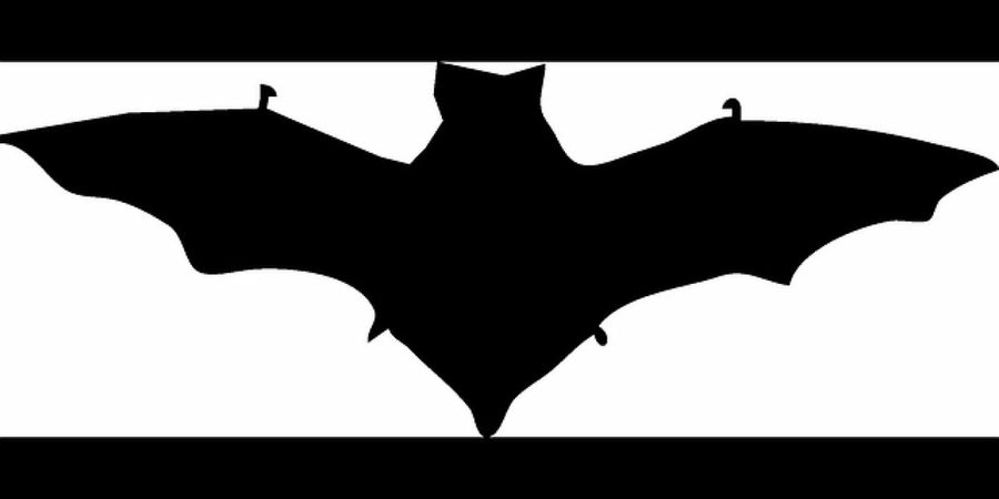 DIY con murciélagos para Halloween | Decoración