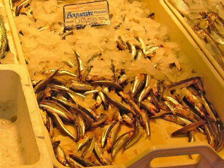 Boquerones en el mercado