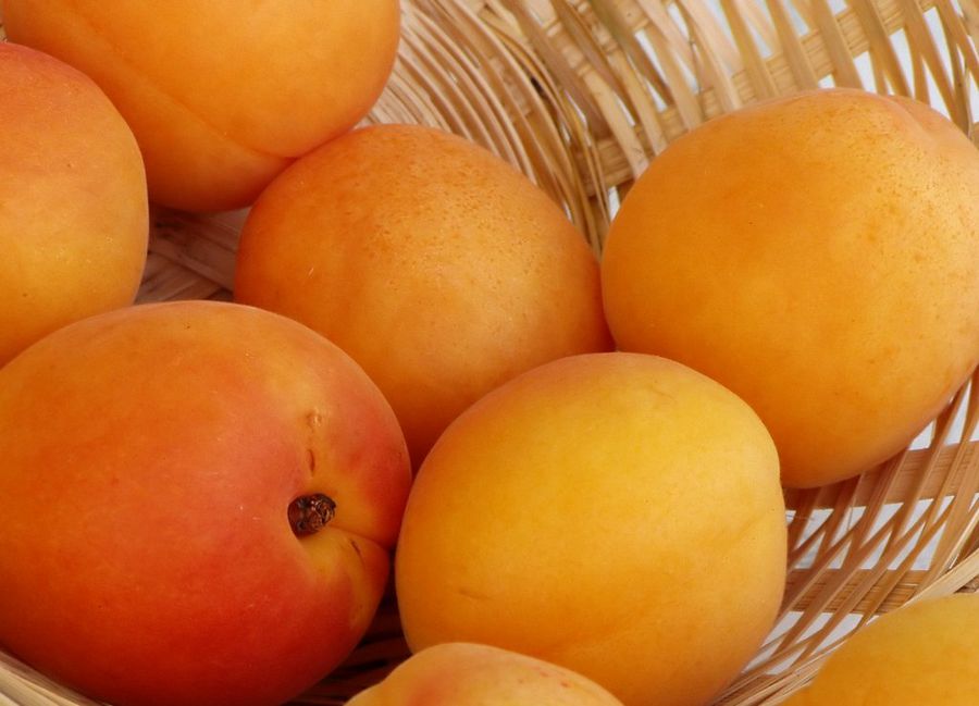 Albaricoques