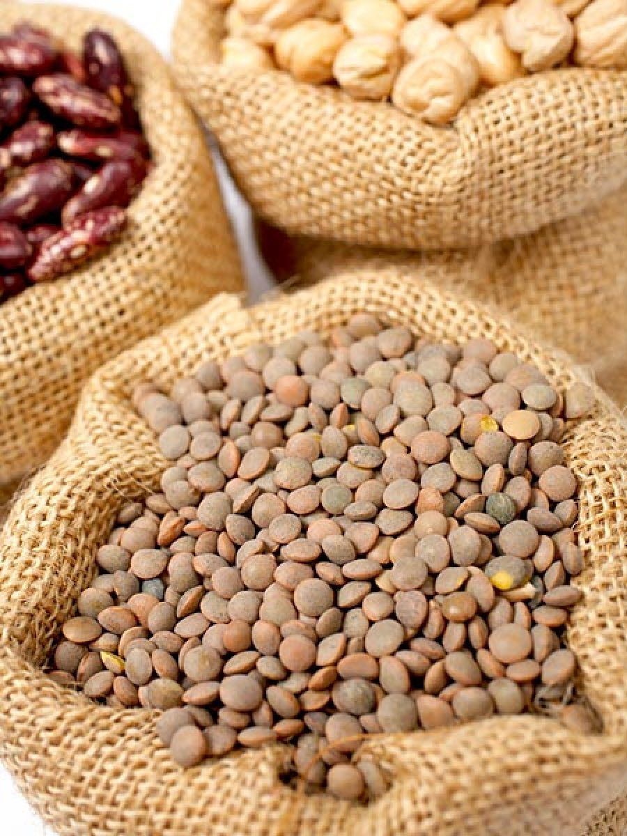 legumbres