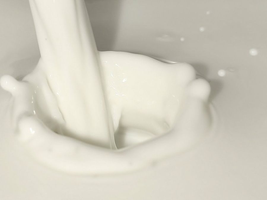 Leche