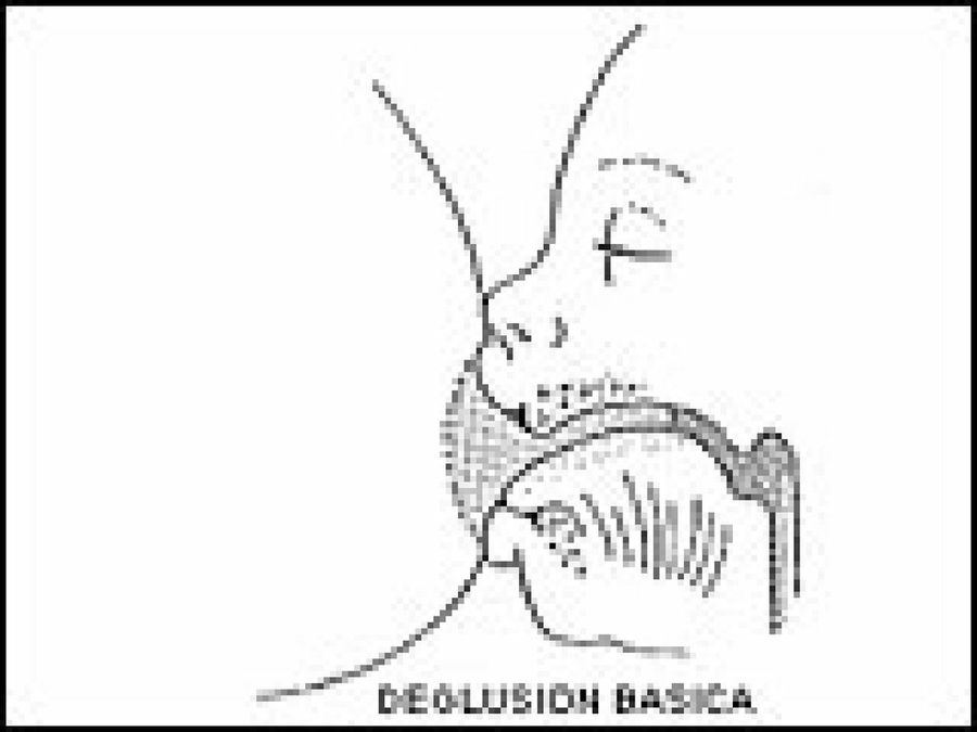 dibujo lactancia