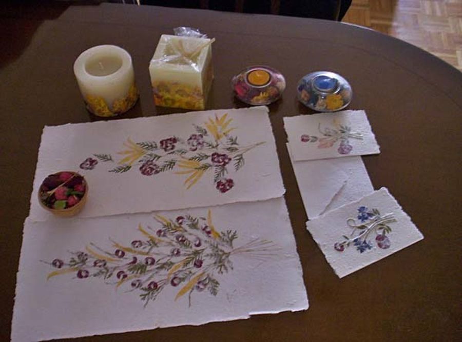 Cómo hacer cuadros con flores secas prensadas por nosotros | Manualidades