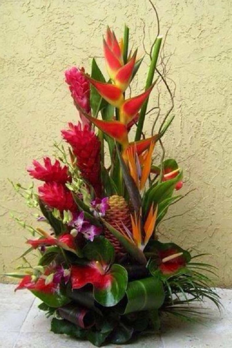 Arreglos florales tropicales | Plantas