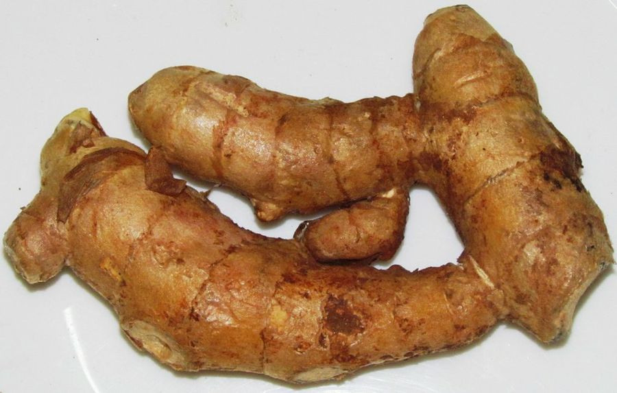 Curcuma
