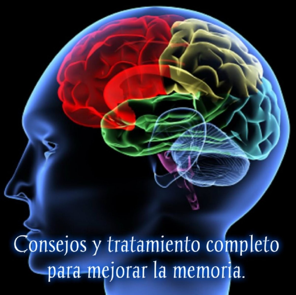 Imagen 0