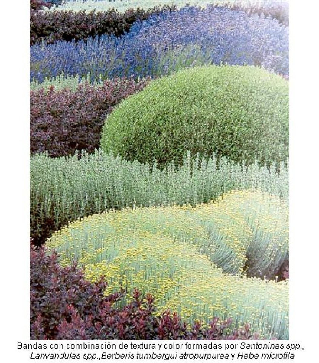 Jardín