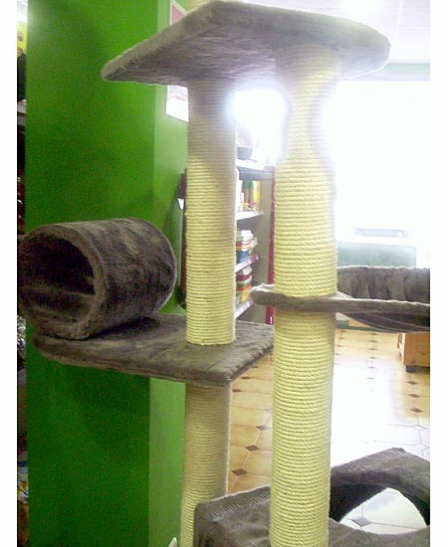 parque de atracciones para gatos