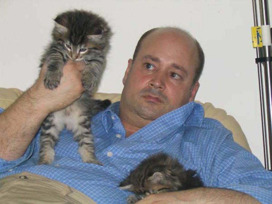 dueño&gatos