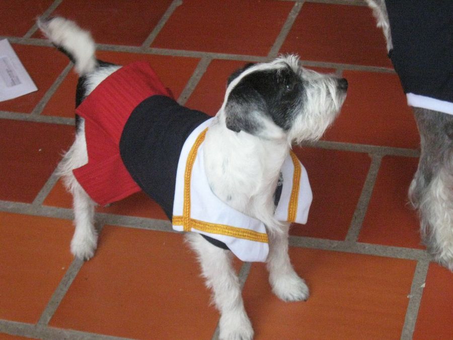 Imagen 2