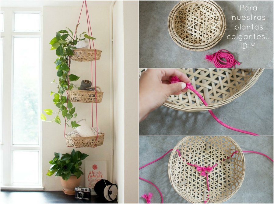 Te mejorarás Latón liberal 3 ideas bonitas y DIY para decorar fácilmente con plantas de interior |  Plantas