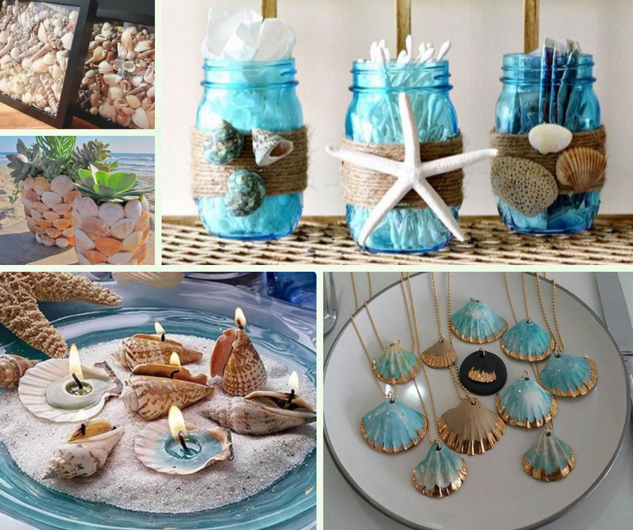 5 cajas de conchas de conchas de mar, decoración de conchas para acuario,  adornos de caracola, conchas de ostras, conchas de conchas para decoración