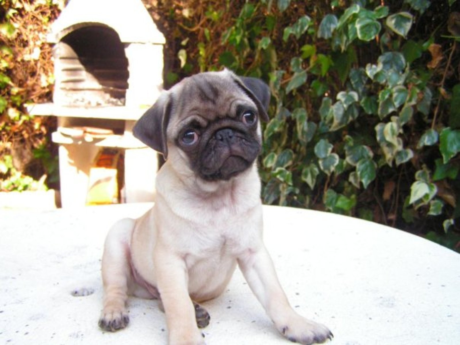 Gunther