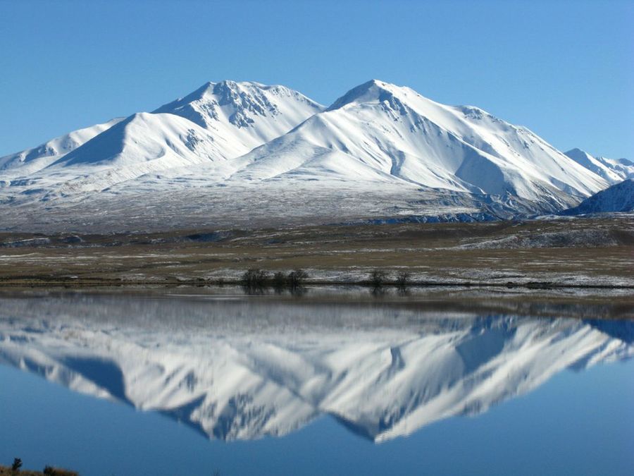 Caprichos navideños