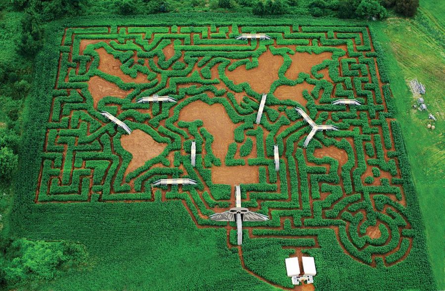  Mega Laberinto Davis