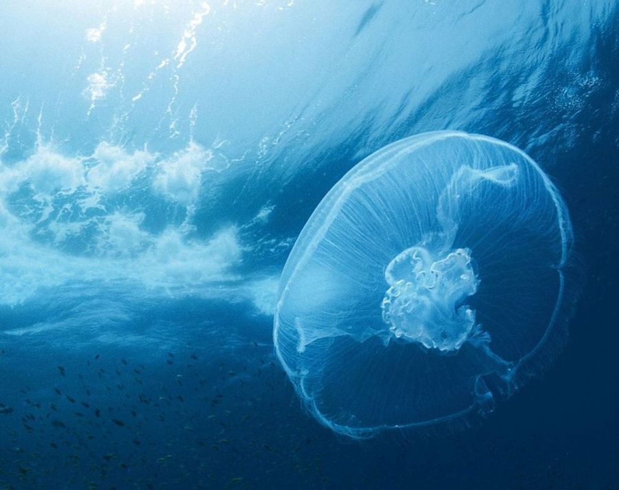 Hermosos estilos de casas: estilo y decoración | Decoración