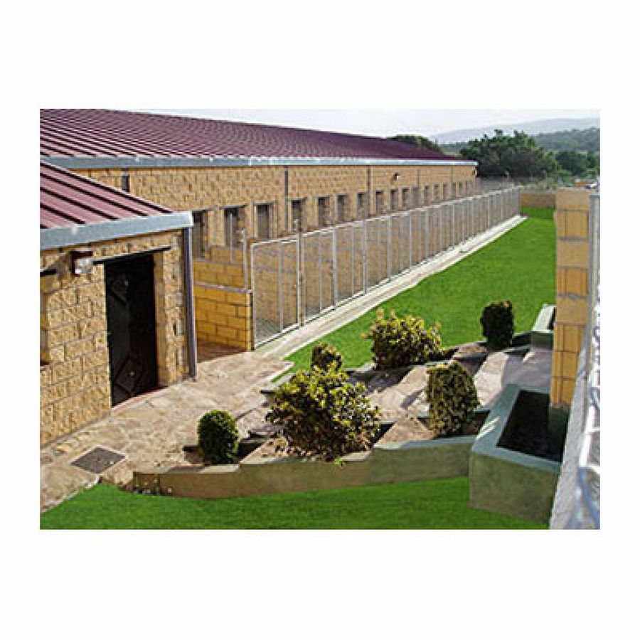 hotel de lujo para mascotas