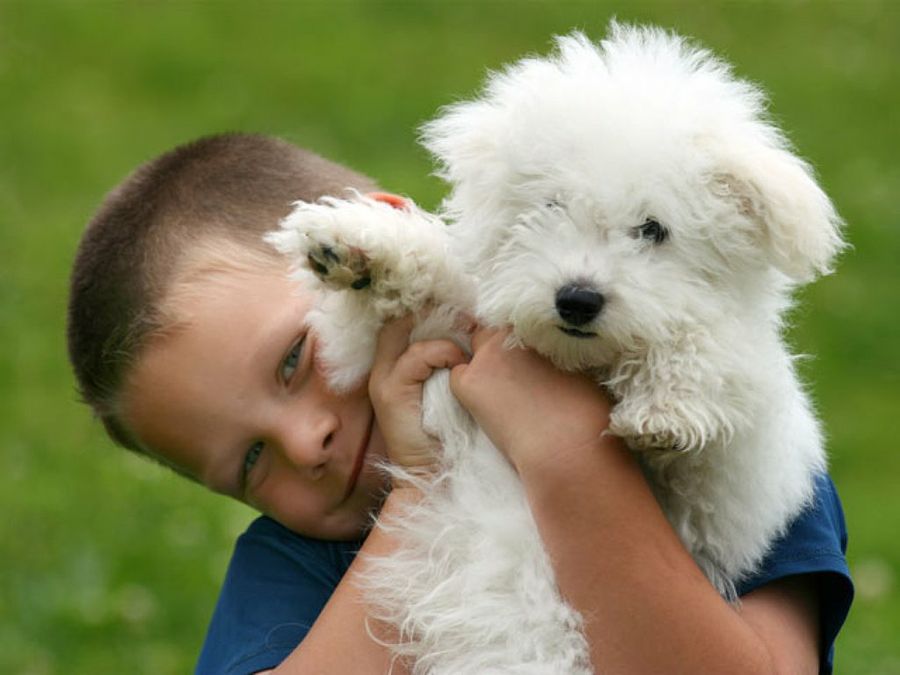 niño y perro blanco