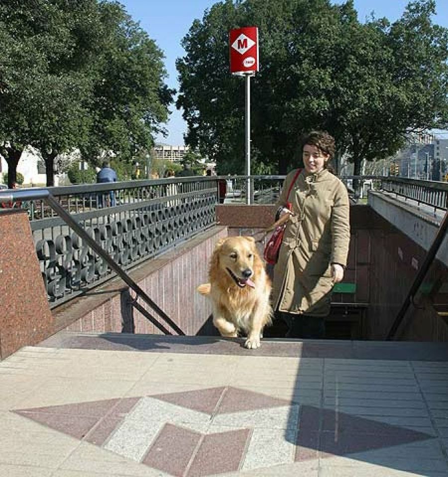 saliendo del metro con perro