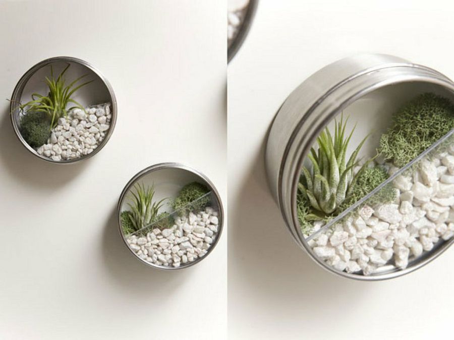 Jardín ecológico en latas