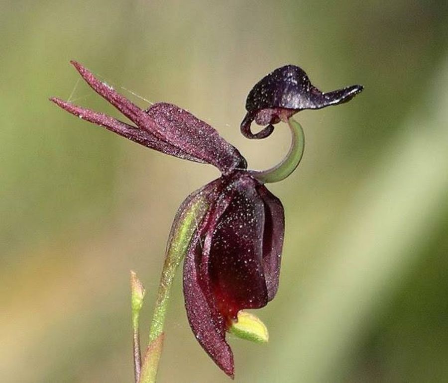 Apartament Therapy: ejemplos diversos de decoración de cómodas | Decoración