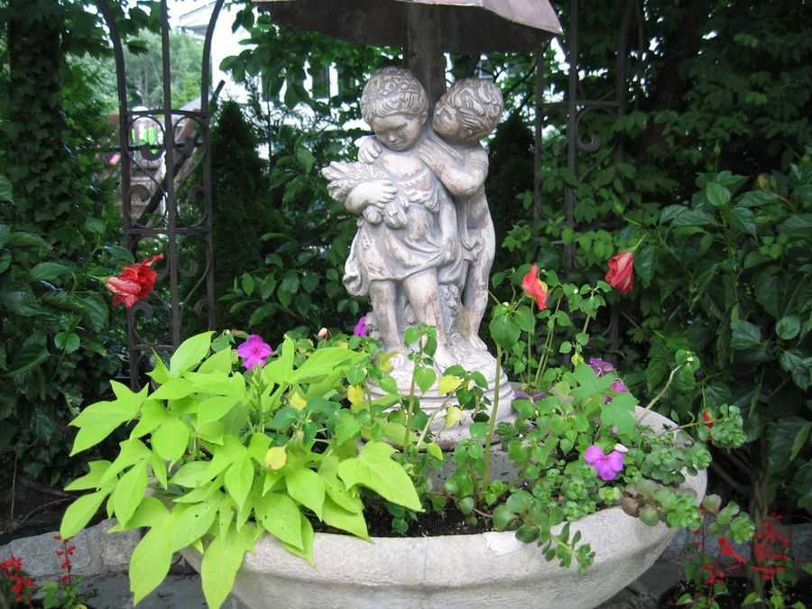 Flores para jardín: ideas florales decorativas | Plantas