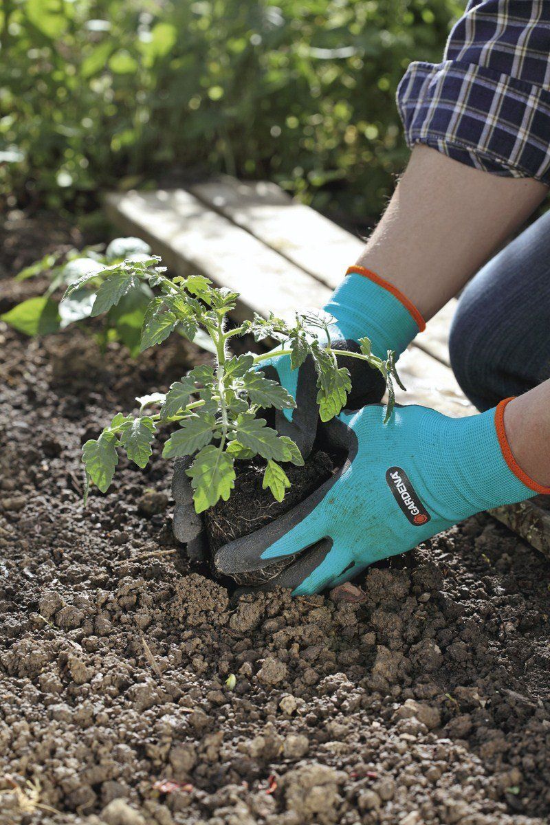 Qué tipo de guantes de jardinería necesitas?