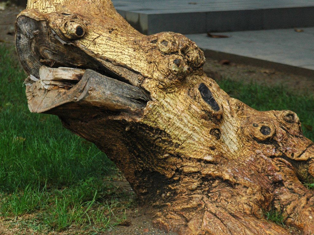 Cómo decorar troncos de jardín: Espacios naturales a la vanguardia | Plantas, image size:1024x768