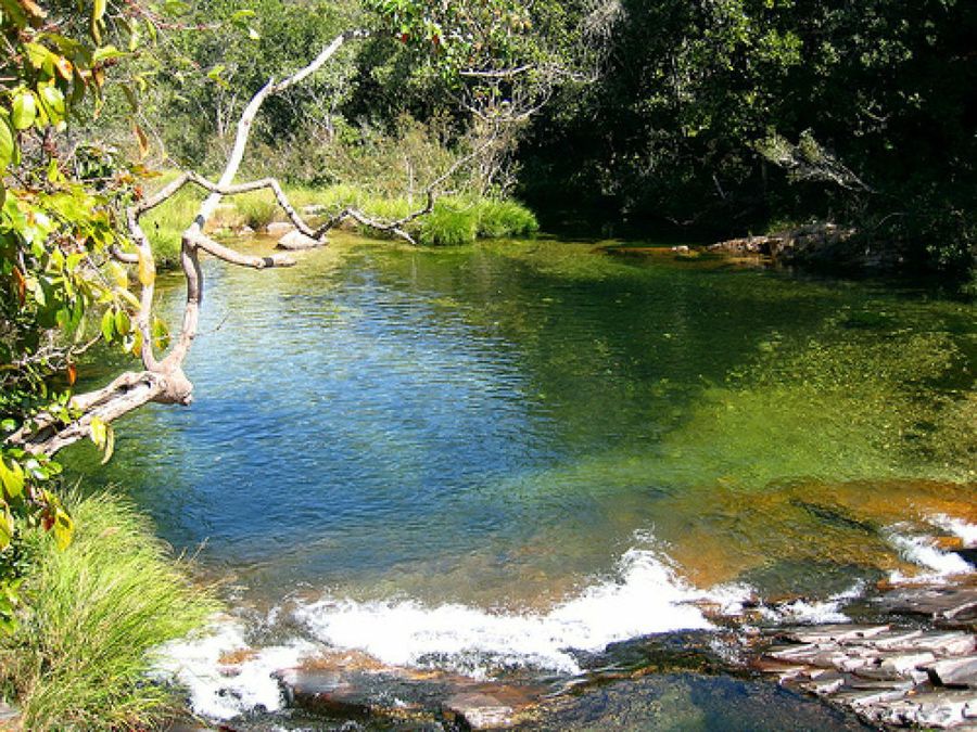 piscina naturalizada