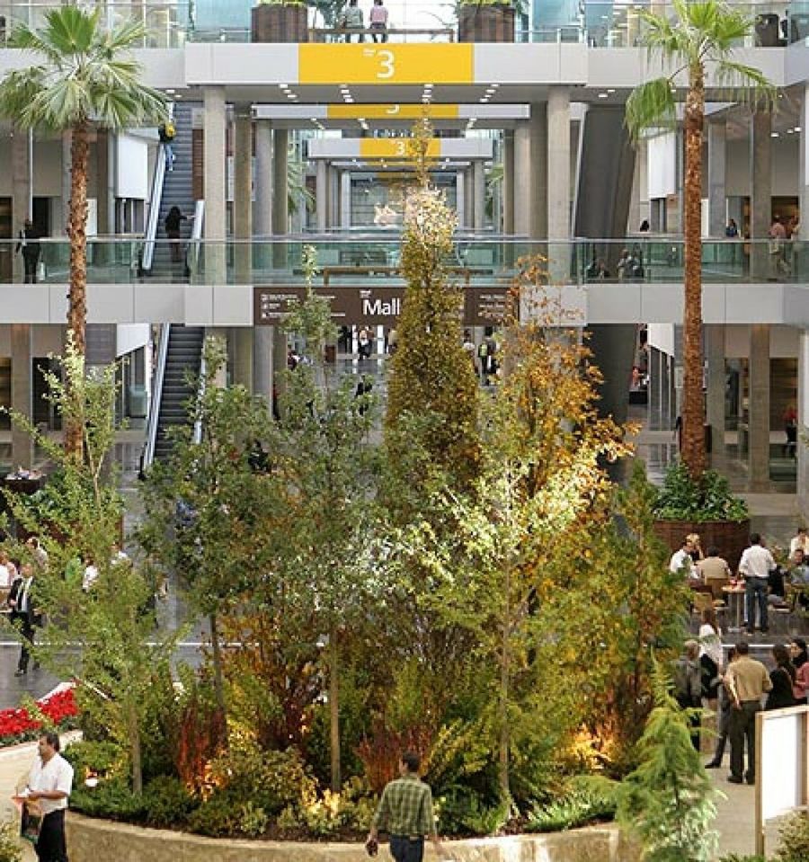 iberflora exposición