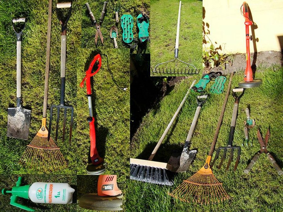 Utensilios para el cuidado del césped