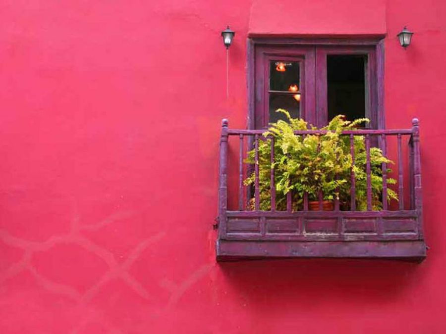 balcón con plantas