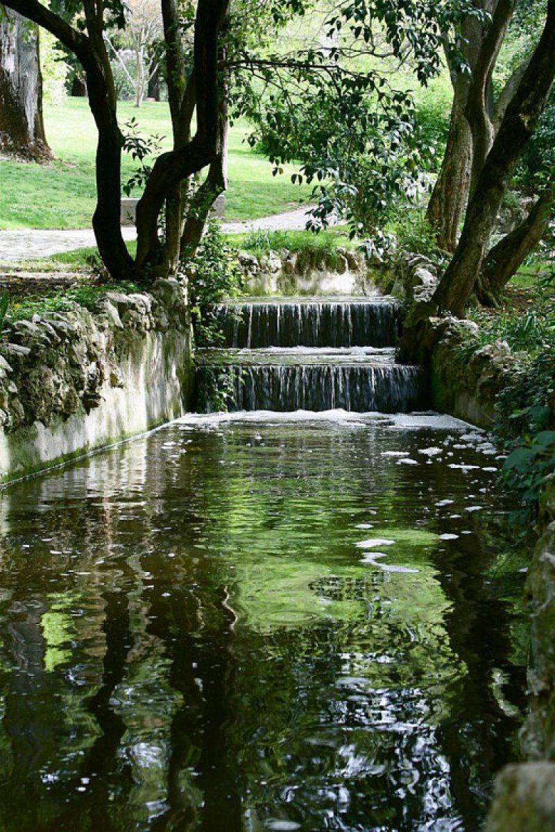 Cómo hacer un estanque en el jardín - Vive la Naturaleza