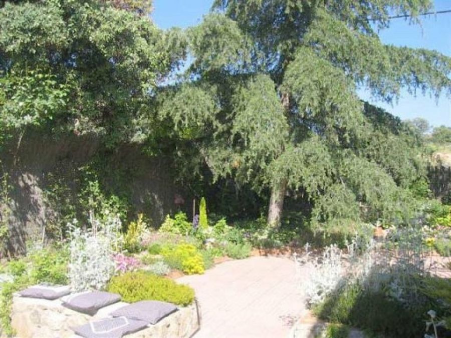 Jardín de Patricia
