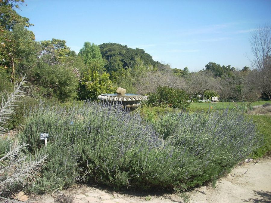 Jardín de secano