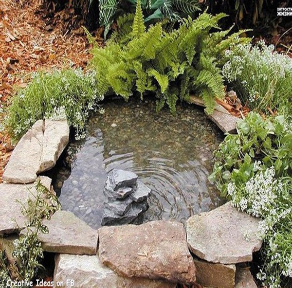 Los 55 mejores Jaula de aves ideas  fuentes para jardin, fuentes de agua  de jardín, estanques de jardín