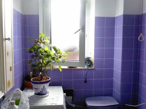 Cómo pintar los azulejos del baño y renovarlo por completo
