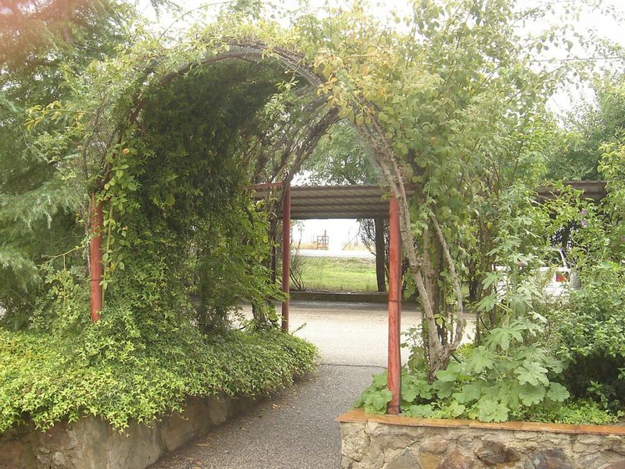 Armazón de tubos metálicos cubierto de trepadoras