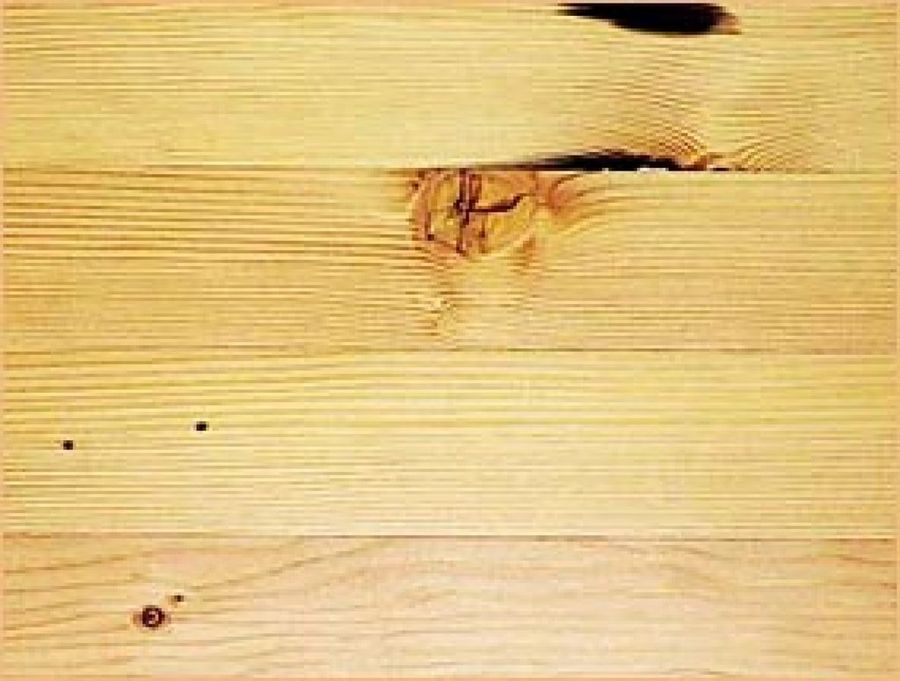 madera deteriorada