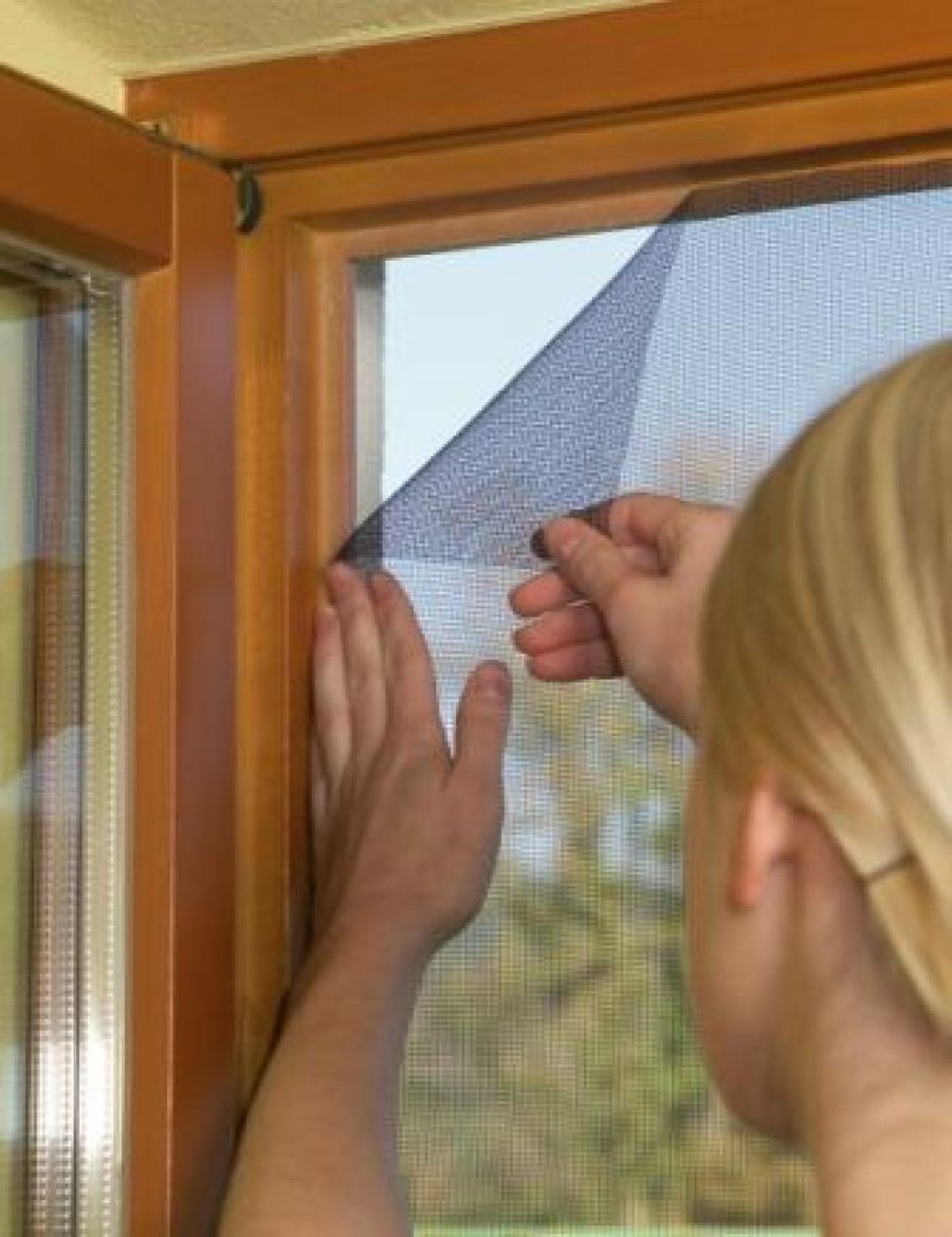 Protege tu ventana mosquitero | Bricolaje