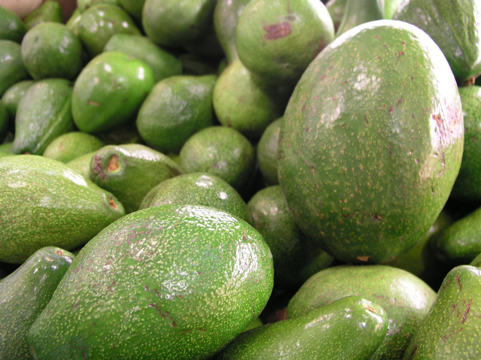 Aguacate: 4 beneficios para la salud + 5 recetas